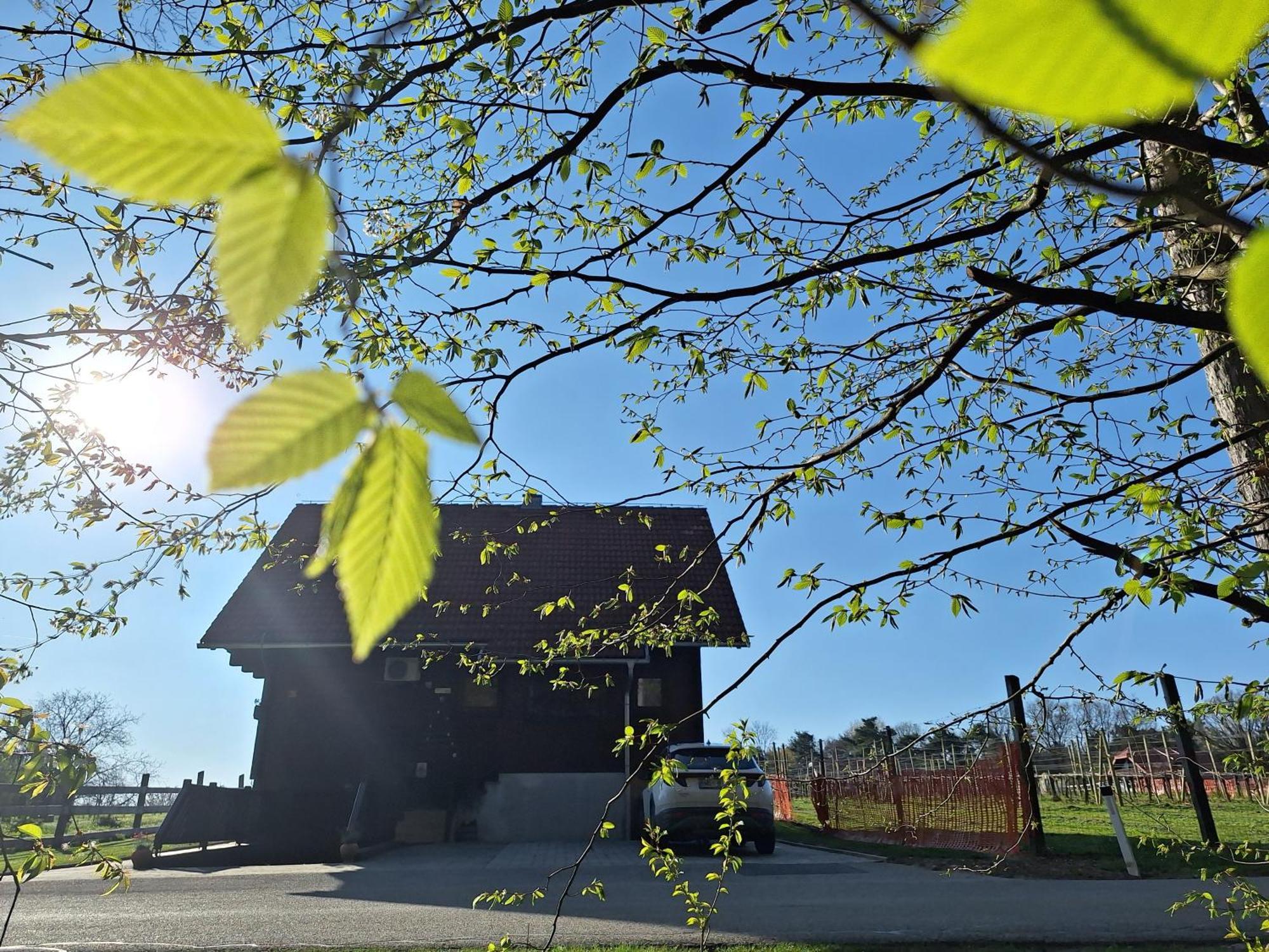 Logarska Koca Vila Fokovci Exterior foto